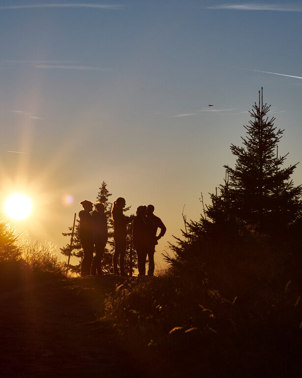 Wandergruppe bewundert Sonnenuntergang umgeben von Bäumen im Bayerischen Wald