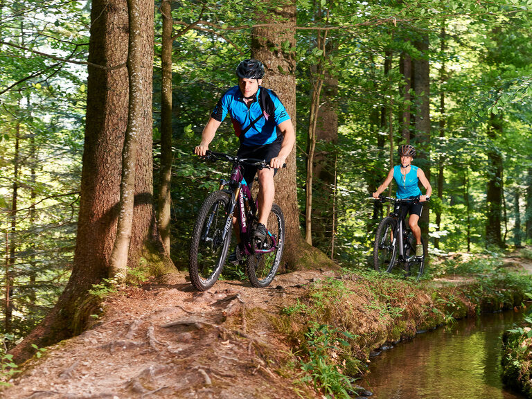 Paar fährt mit Mountainbike im Bayerischen Wald