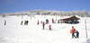 Alpin