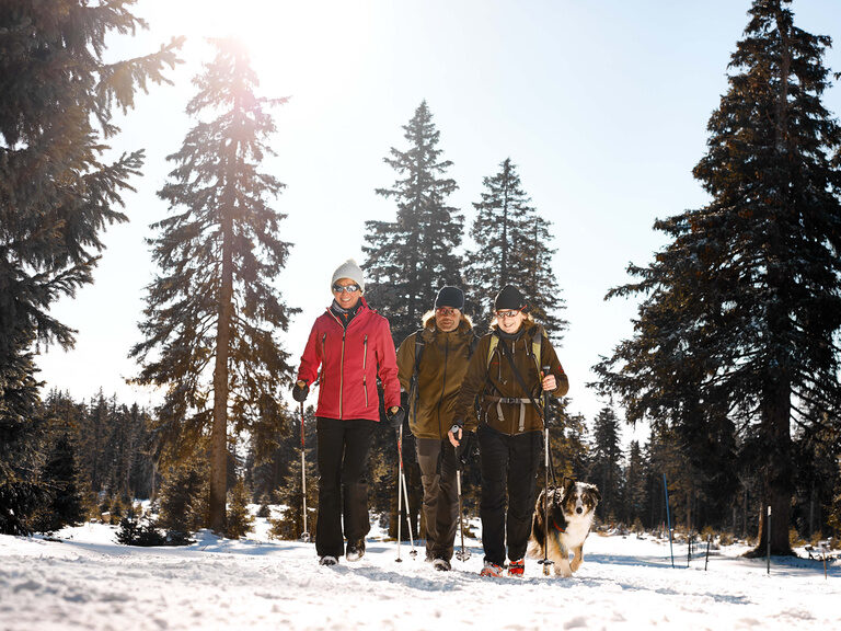 Drei Winterwanderer mit Hund erkunden den winterlichen Bayerischen Wald