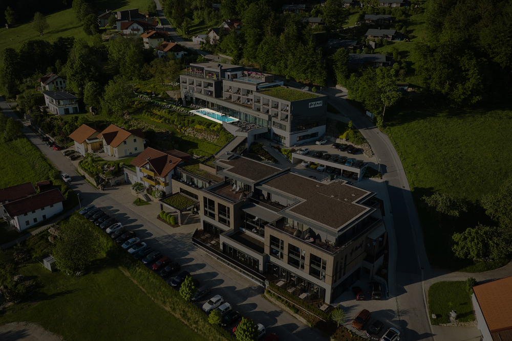 Infinity Pool Infinity Pool