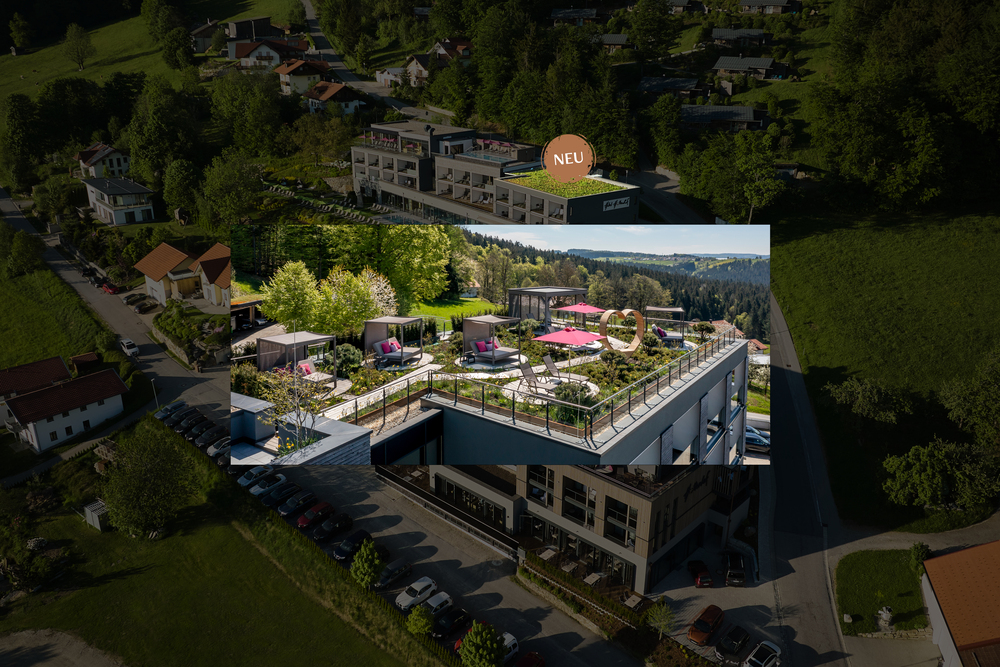 Panorama Dachgarten Panorama Dachgarten