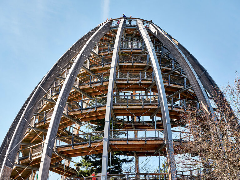 Baumei im  Bayerischen Wald nahe dem Hotel Hüttenhof Spitze vom Baumei im Bayerischen Wald