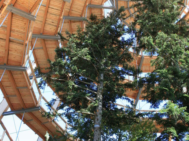 Baumwipfelpfad im Bayerischen Wald nahe des Hotels Hüttenhof Luftaufnahme des Baumwipfelpfads im Bayerischen Wald mit Besuchern