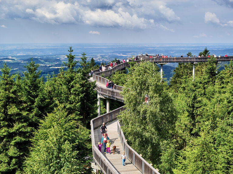 Luftaufnahme des Baumwipfelpfads im Bayerischen Wald mit Besuchern