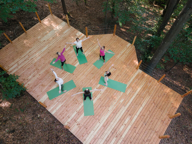 Baumwipfelpfad im Bayerischen Wald nahe des Hotels Hüttenhof Luftaufnahme des Baumwipfelpfads im Bayerischen Wald mit Besuchern