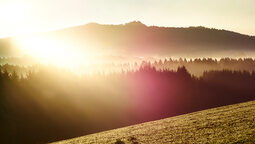 Bayerischer Wald in Sonnenschein nahe des Luxushotels Hüttenhof Naturbild vom Bayerischen Wald mit Sonnenstrahl