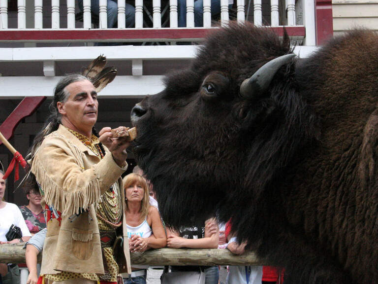 Büffel wird gefüttert in Westernstadt Pullman City nahe dem Hotel Hüttenhof Büffel wird von Cowboy gefüttert in Westernstadt Pullman City