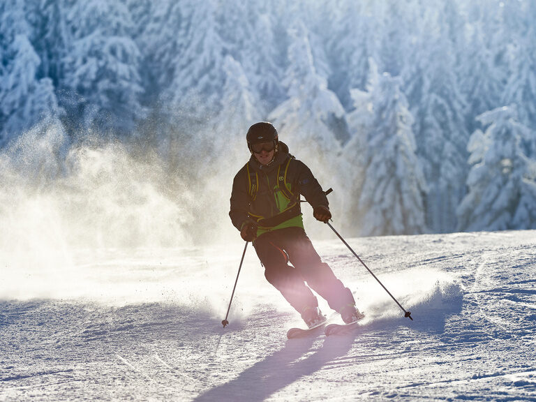 Frontansicht Skifahrer auf Piste im Bayerischen Wald umgeben von schneebedecktem Bäumen