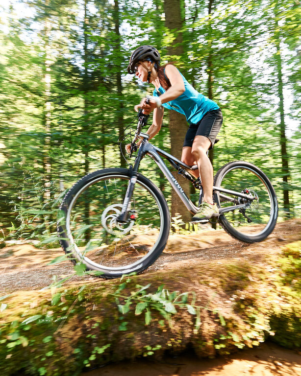 Radfahrer seitlich beim Fahren durch den Bayerischen Wald im Sommer