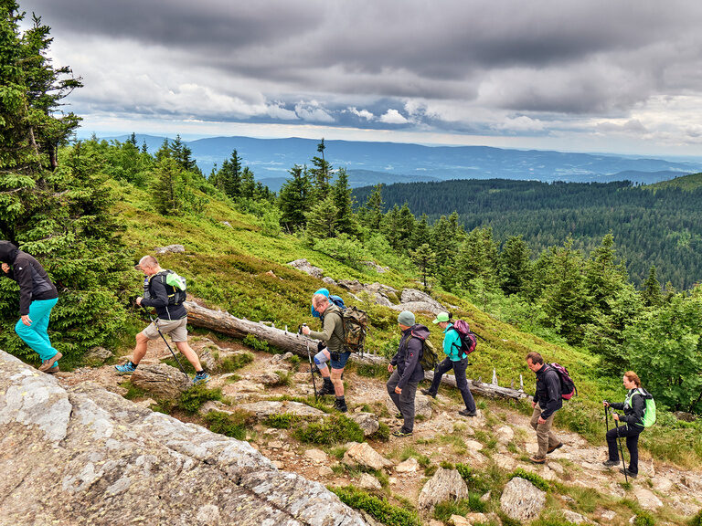 Wandergruppe auf dem Weg zum Gipfel im Bayerischen Wald Wandergruppe auf dem Weg zum Berggipfel umgeben von grünen Wäldern
