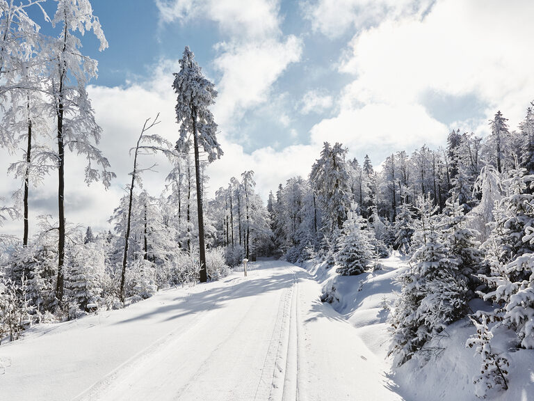 Naturerlebnis im Sommer & Winter