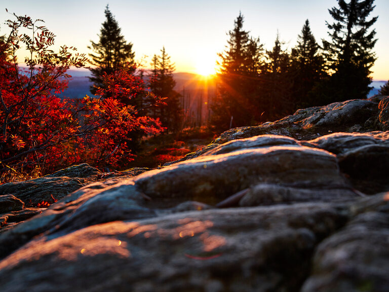 Felsen im Bayerischen Wald bei Dämmerung nahe des Luxushotels Hüttenhof Felsen in der Dämmerung, umgeben von Bäumen im Bayerischen Wald