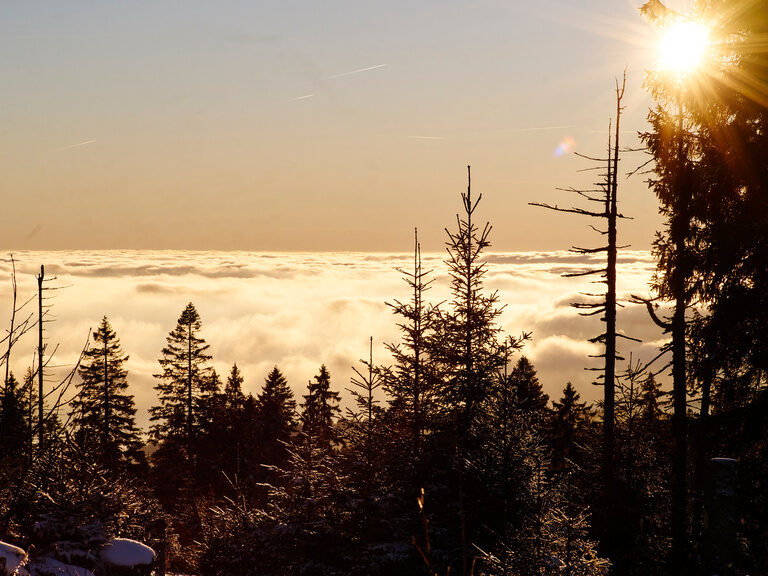 Gipfel Bayerischer Wald mit Blick auf Wolkenmeer nahe des Hotels Hüttenhof Luftaufnahme sonniger Bayerischer Wald mit beeindruckendem Panoramablick auf das Wolkenmeer