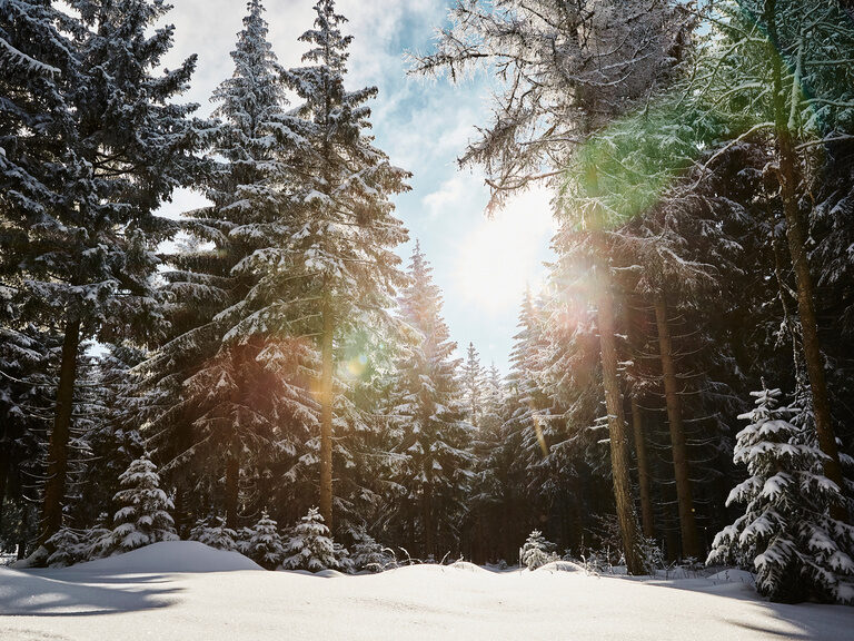 Lächelndes Paar im Außenpool vom 4-Sterne-Wellnesshotel Hüttenhof Lächelndes Paar genießt Panorama im Außenpool vom 4-Sterne-Luxushotel Hüttenhof