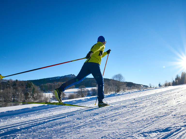 Rückansicht eines Langläufers, der auf sonnigen, schneebedeckten Loipe gleitet