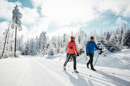 Winterurlaub im Bayerischen Wald mit Loipe in der Nähe Zwei Langläufer auf der Loipe am Haidel bei Sonnenschein im Winter