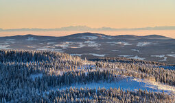 Winterlandschaft im Bayerischen Wald bei Dämmerung Luftaufnahme der verschneiten Winterlandschaft im Bayerischen Wald bei Dämmerung