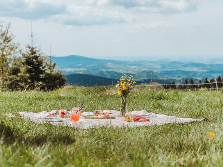 Picknick auf Wiese in Grainet mit Ausblick über den Bayerischen Wald