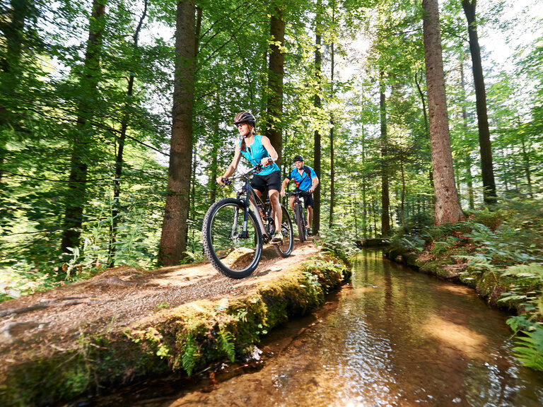 Radfahrer im Bayerischen Wald im Sommer nahe dem Hotel Hüttenhof Zwei Radfahrer fahren im Bayerischen Wald an Bach entlang