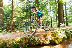 Radfahrer im Bayerischen Wald im Sommer nahe des Hotels Hüttenhof Radfahrer seitlich beim Fahren durch den Bayerischen Wald im Sommer