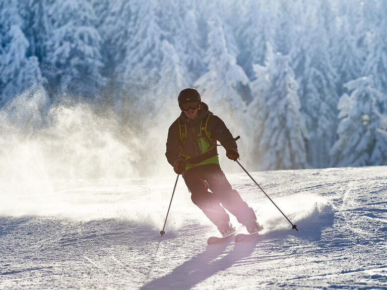 Eine Person fährt auf Skiern einen verschneiten Hang im Bayerischen Wald hinunter, mit Bäumen im Hintergrund.