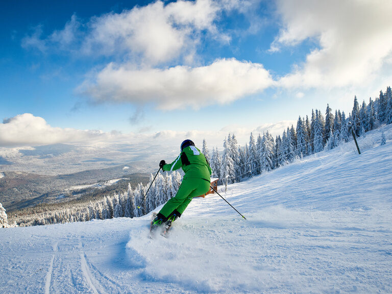 Skifahren im Bayerischen Wald im Winter nahe des Hotels Hüttenhof Skifahrer bei winterlicher Abfahrt im Bayerischen Wald, Ansicht von hinten