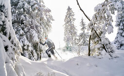 Mann wandert auf Schneewschuhen durch den tief verschneiten Bayerischen Wald.
