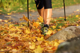 Wandern und Freizeit um das Hotel Hüttenhof Grainet Walking im Herbstlaub mit grünen Turnschuhen