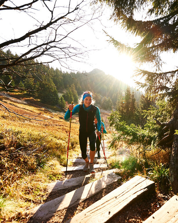 Wanderer auf dem Weg hinauf auf einem malerischen Wanderweg im Bayerischen Wald