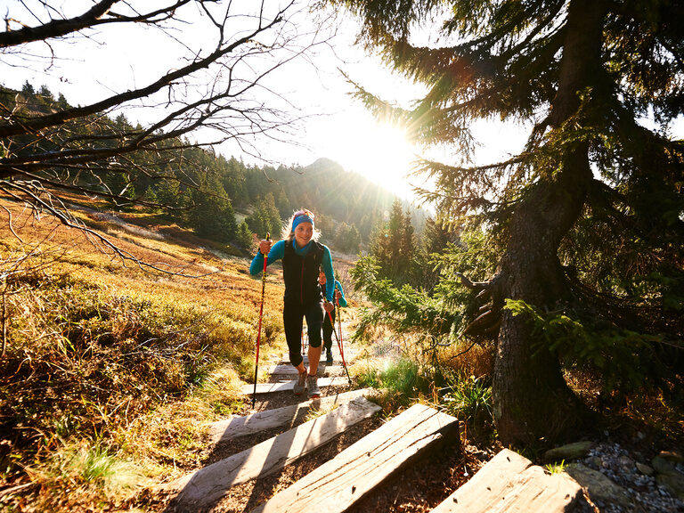Wanderer besteigen Wanderweg im Bayerischen Wald nahe des Luxushotels Hüttenhof Wanderer auf dem Weg hinauf auf einem malerischen Wanderweg im Bayerischen Wald