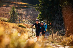 Wanderer besteigen Wanderweg im Bayerischen Wald nahe des Luxushotels Hüttenhof Wanderer auf dem Weg hinauf auf einem malerischen Wanderweg im Bayerischen Wald