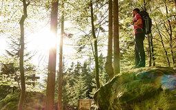Ein Wanderer steht auf einem Felsen im Nationalpark Bayerischer Wald und blickt in die Landschaft. Sonnenstrahlen dringen durch das Blätterdach.