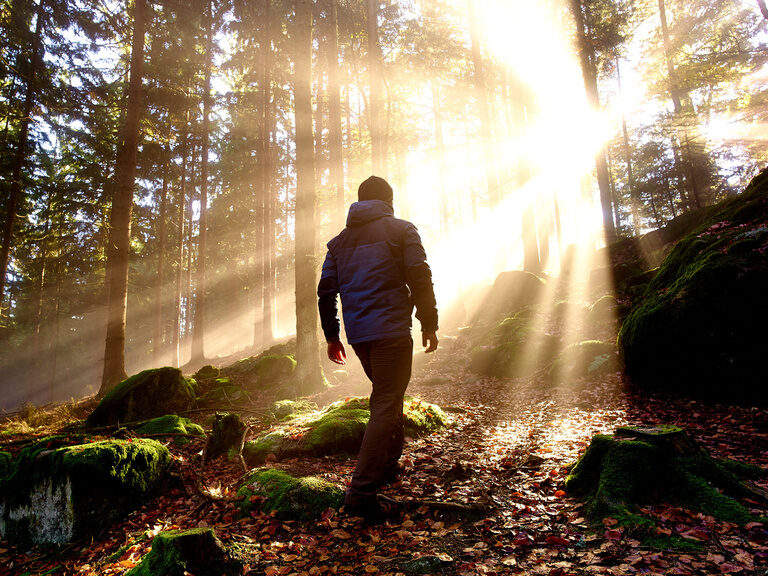 Mann wandert durch den sonnigen Bayerischen Wald