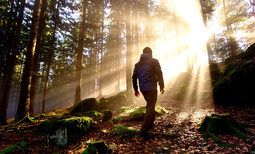 Wanderer im sonnigen Bayerischen Wald nahe des Hotels Hüttenhof Wanderer geht durch Sonnenstrahlen im Bayerischen Wald