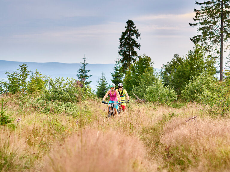Paar wandert im Bayerischen Wald nahe des Luxushotels Hüttenhof Paar wandert am See im Bayerischen Wald entlang