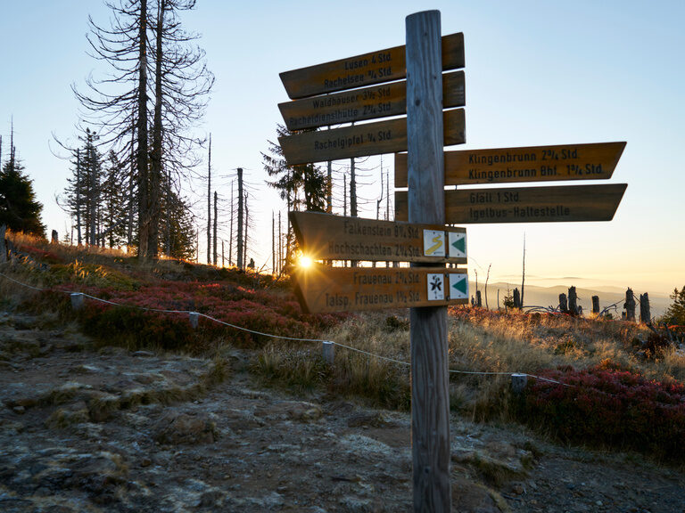 Wanderschild bei Sonnenaufgang im Wald