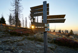 Wandern rund um das Hotel Hüttenhof Grainet Wanderschild bei Sonnenaufgang im Wald