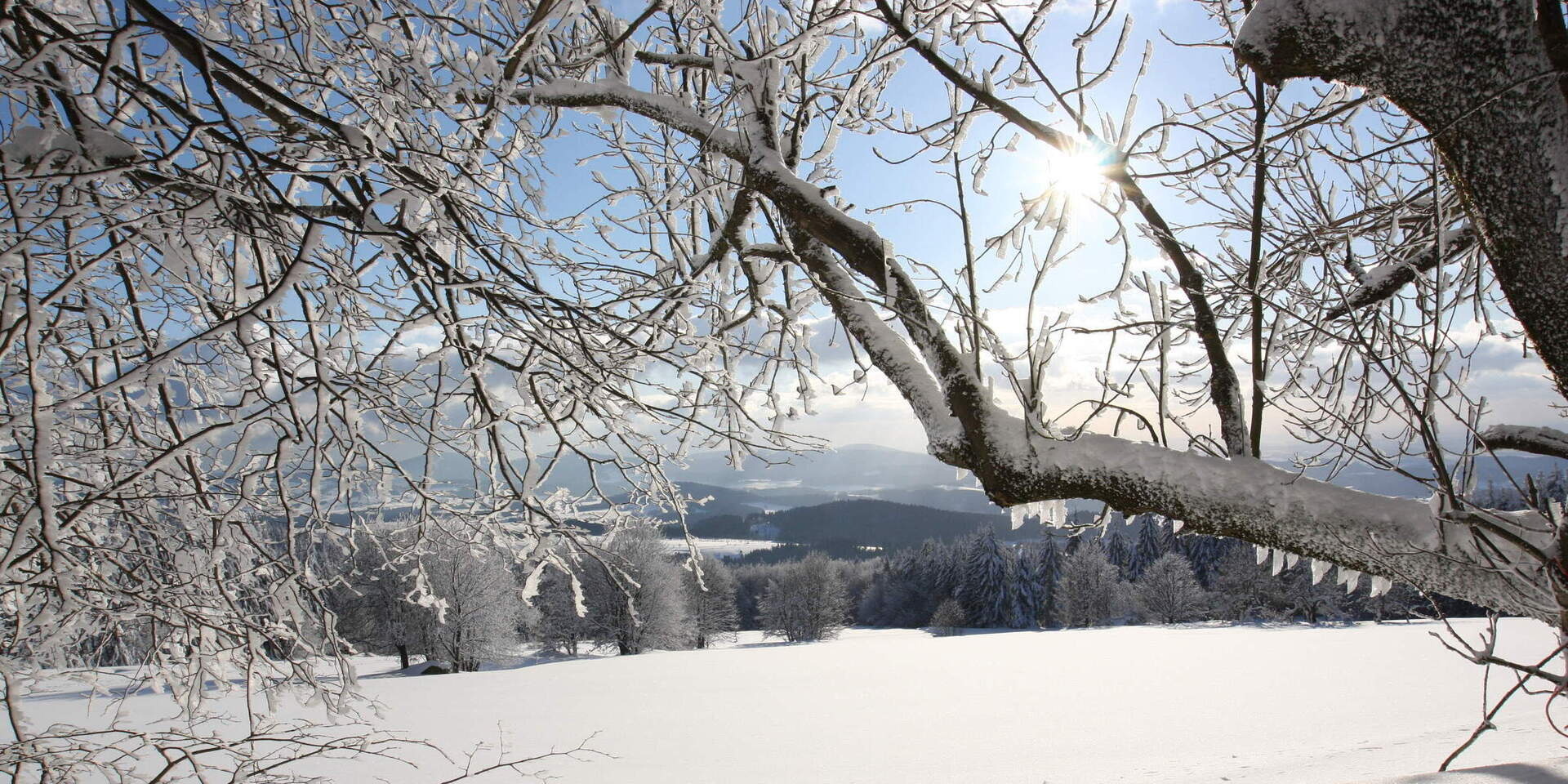 Winter Dreiländereck Bayerischer Wald