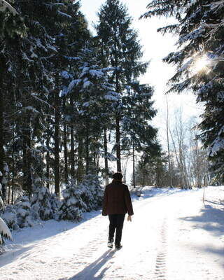 Winter in Grainet Bayerischer Wald